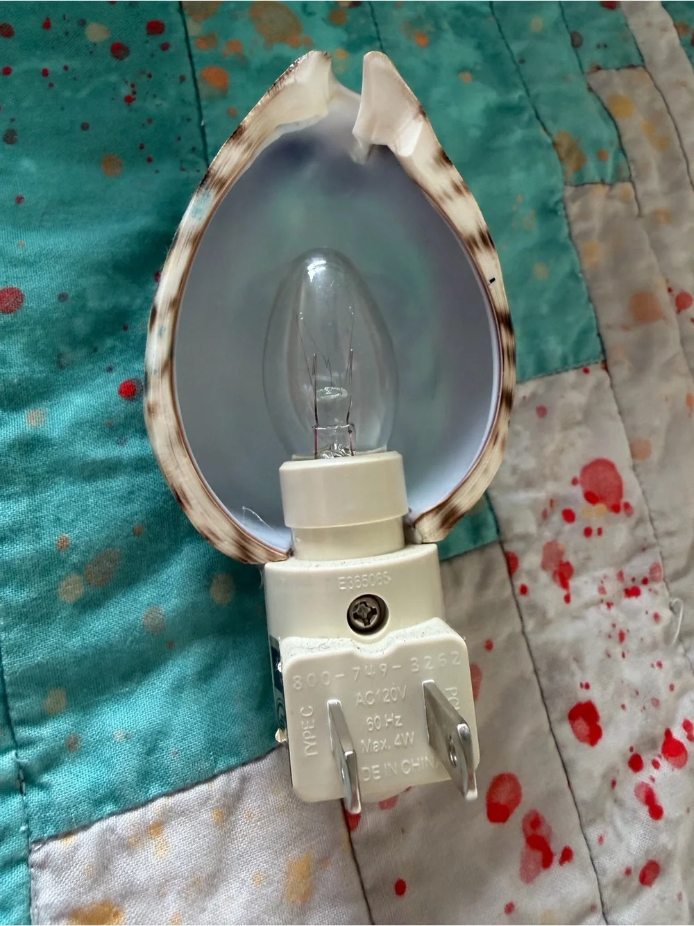 Hand-Painted Green Crab Shell Night Light